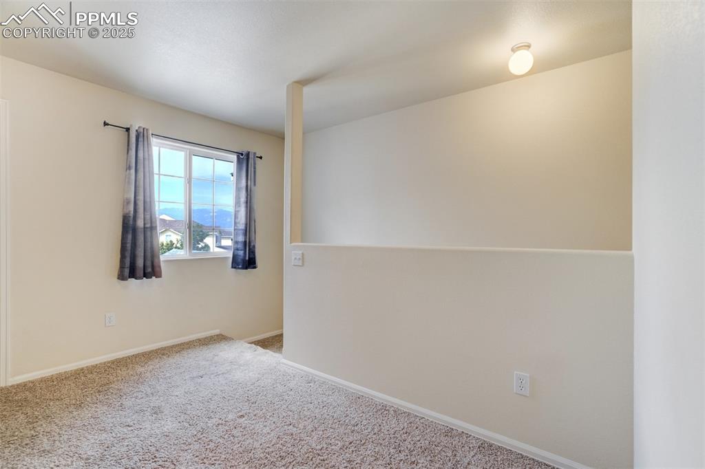 Image 25 of 41: new carpet here