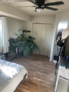 Image 20 of 30: Bedroom featuring wood finished floors and a ceiling fan