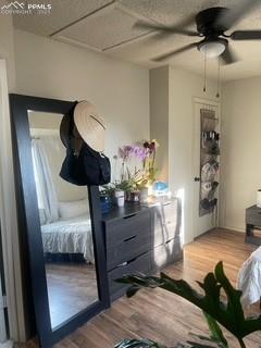 Image 30 of 30: Bedroom featuring wood finished floors, attic access, and a ceiling fan