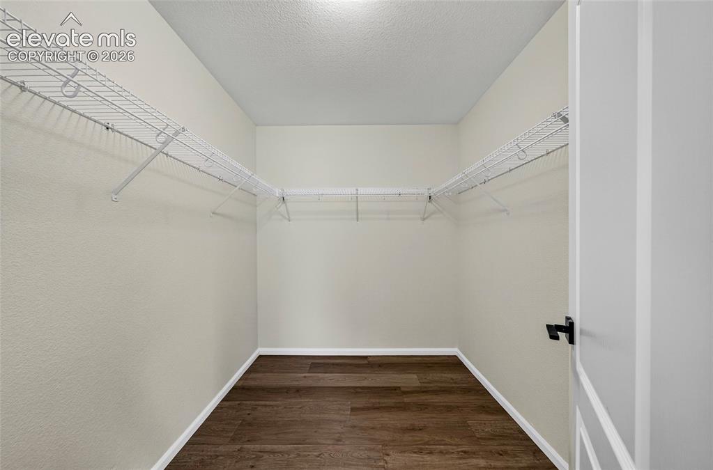 Image 15 of 32: Primary