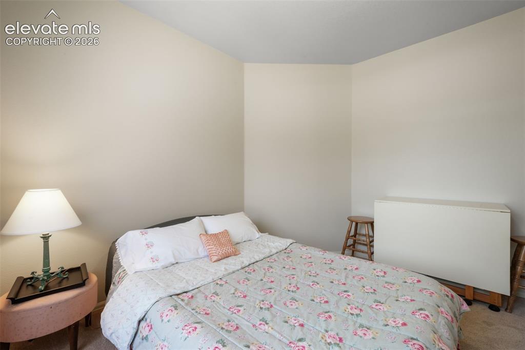 Image 27 of 50: Bedroom featuring neutral wall paint, carpet flooring, and a large window w