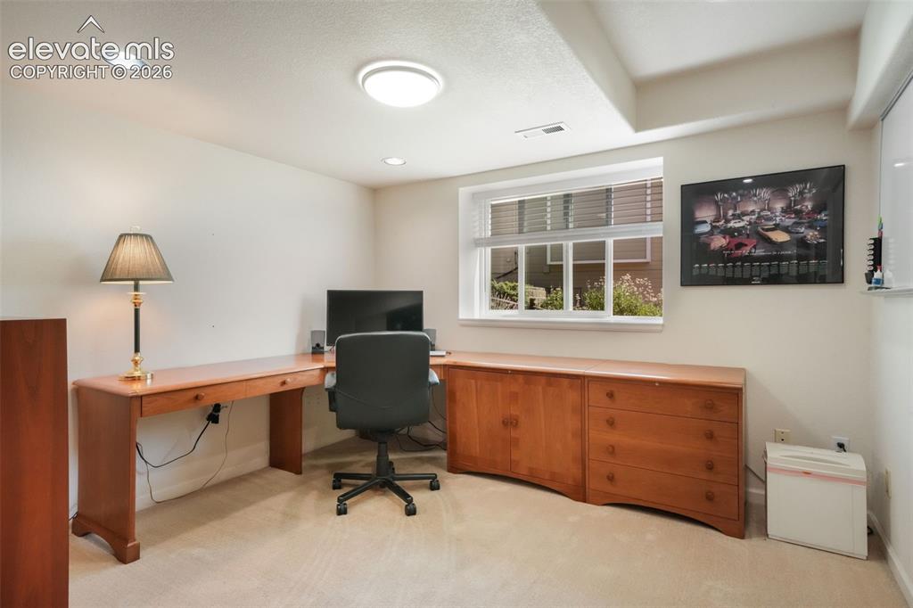 Image 34 of 50: Expansive living area with neutral carpeting and light green walls