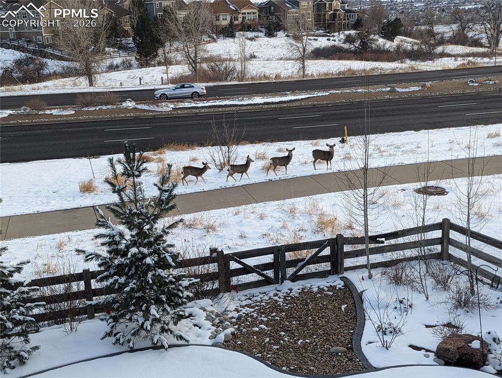 Image 47 of 49: Other