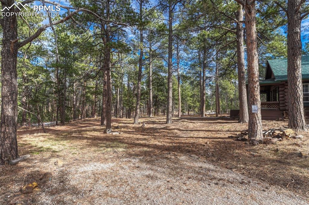 Image 34 of 49: Yard