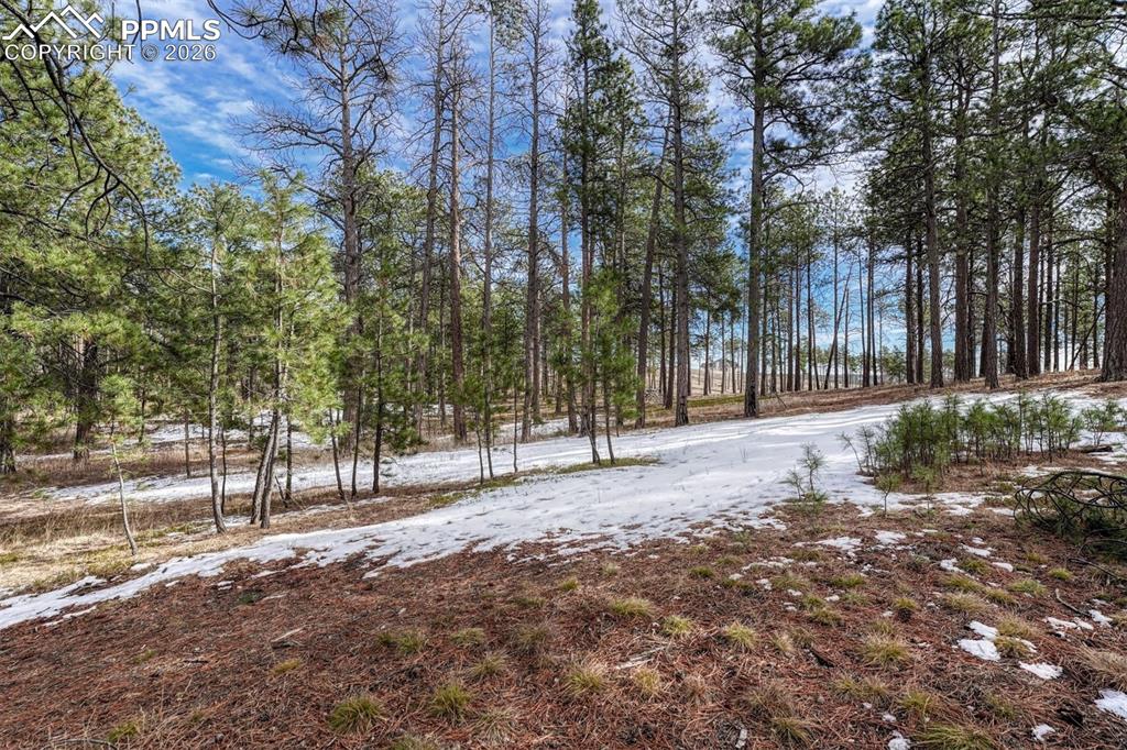 Image 35 of 49: Yard