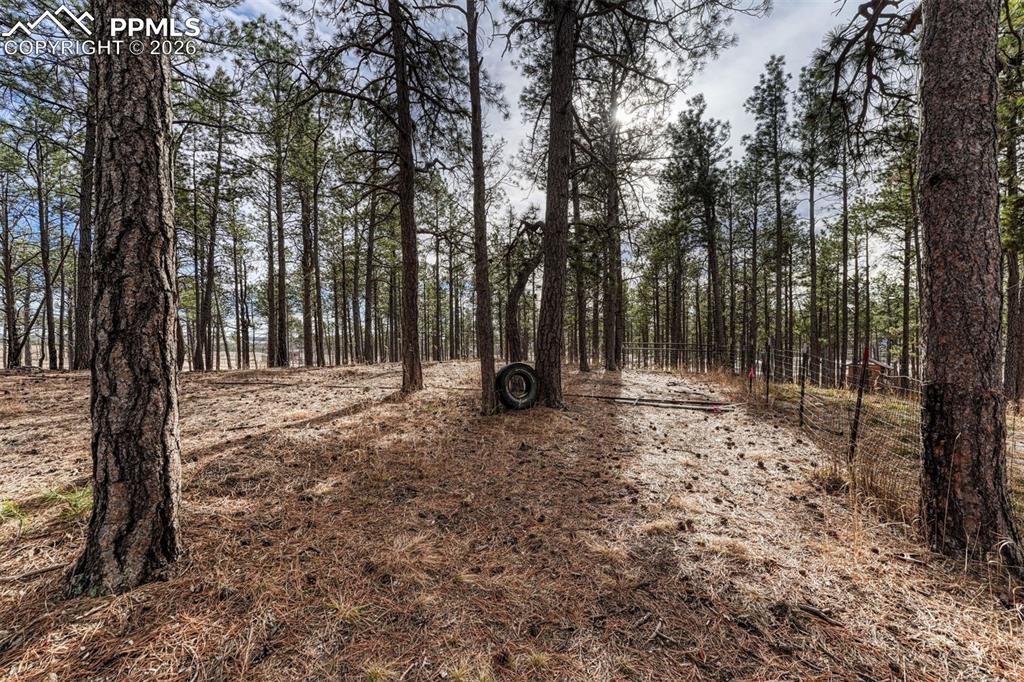 Image 37 of 49: Other