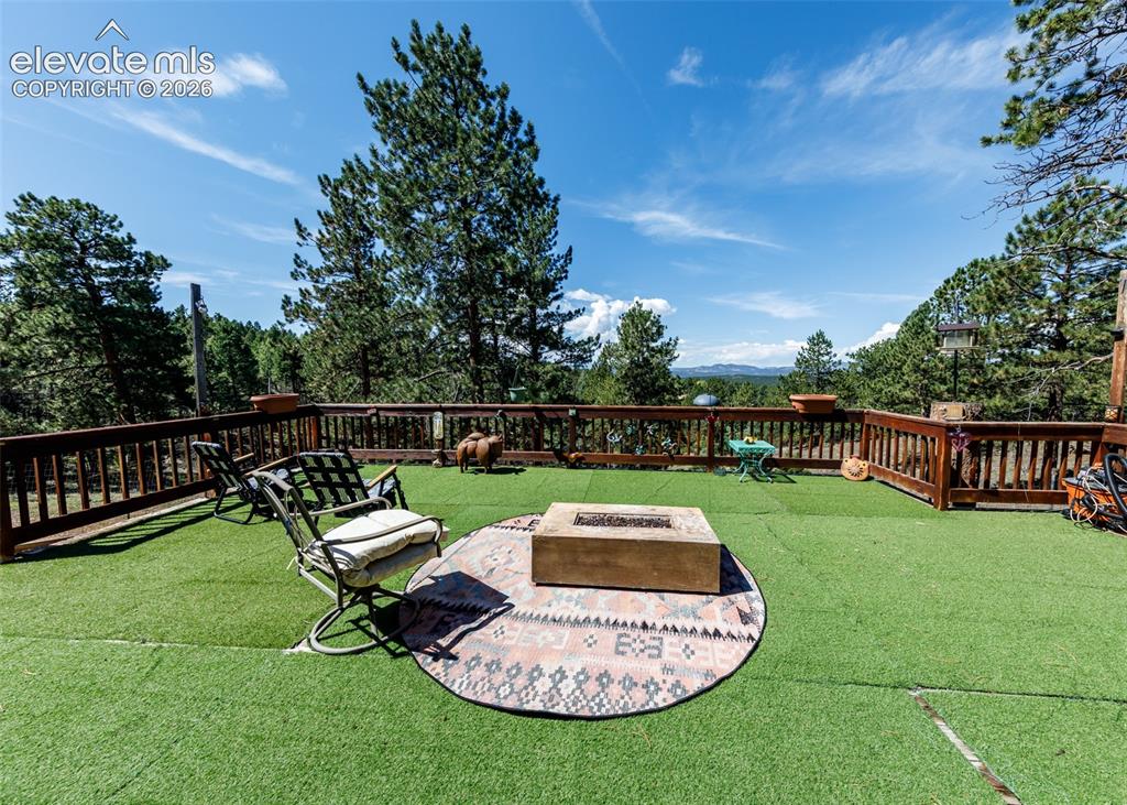 Image 13 of 50: back deck
