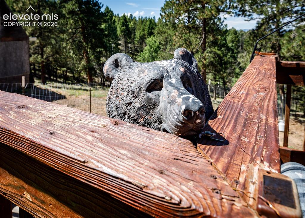 Image 48 of 50: bear attached to the corner deck