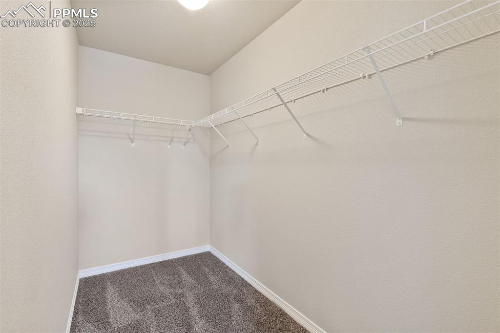 Image 18 of 28: Walk in closet with carpet flooring