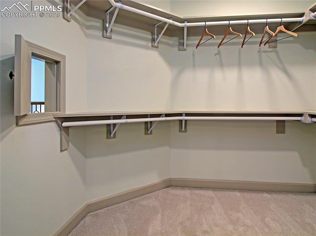 Image 35 of 50: Spacious closet with carpet flooring