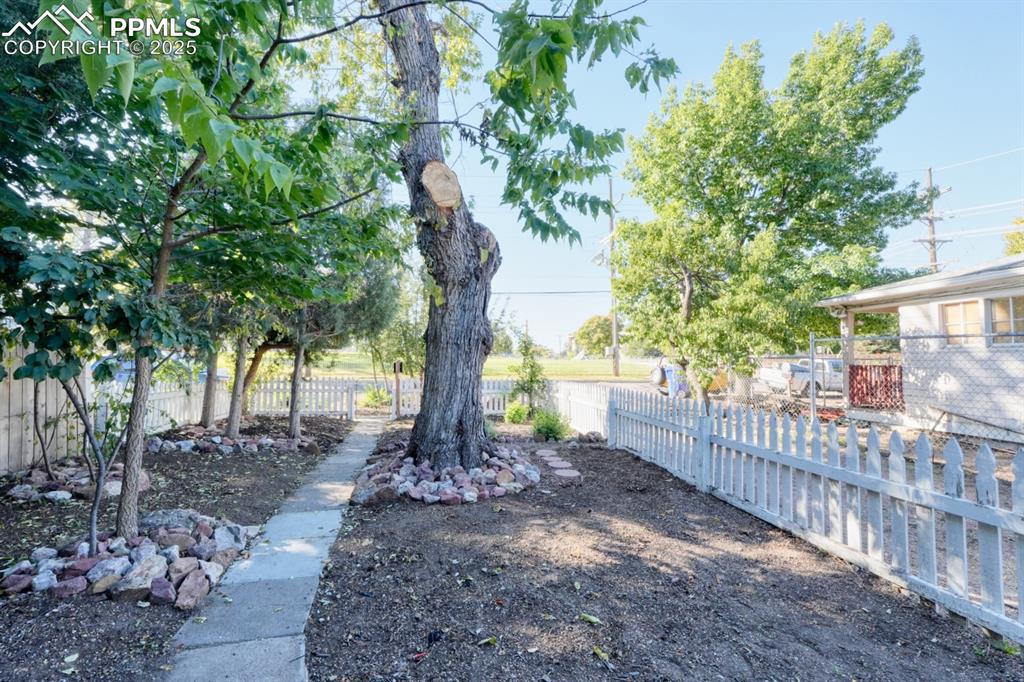 Image 28 of 28: View of yard