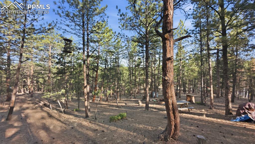 Image 24 of 45: Other