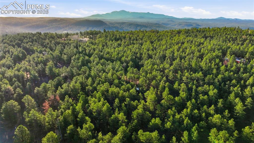 Image 43 of 45: Aerial View