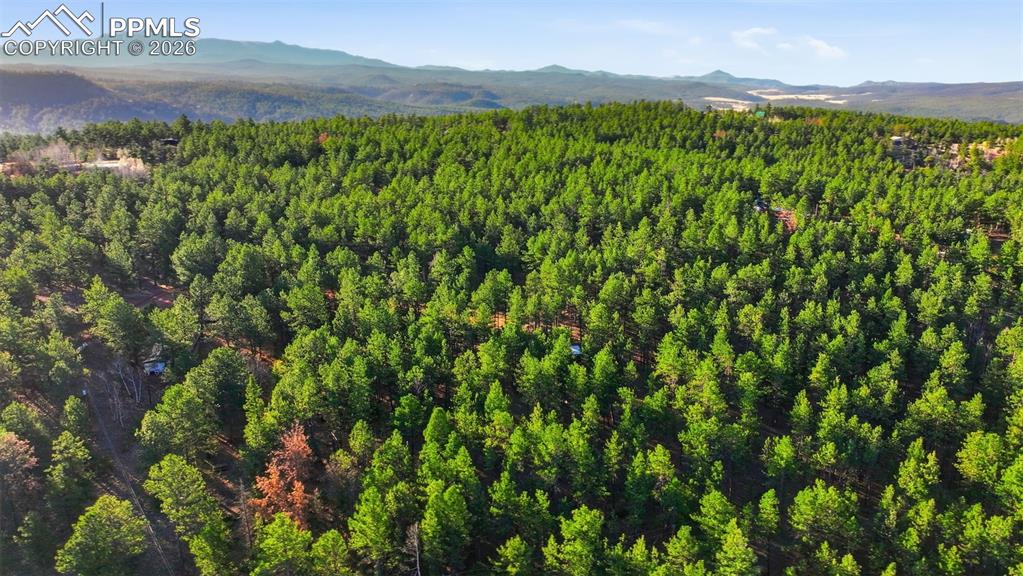 Image 44 of 45: Aerial View