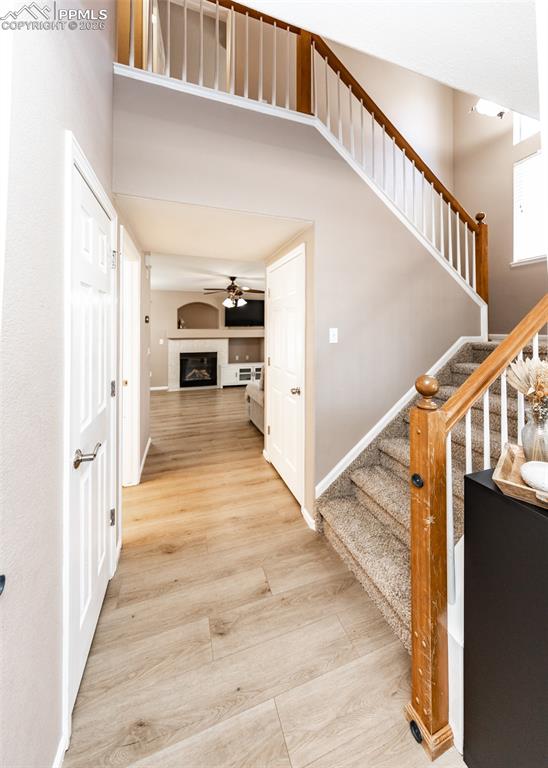 Image 7 of 40: Other