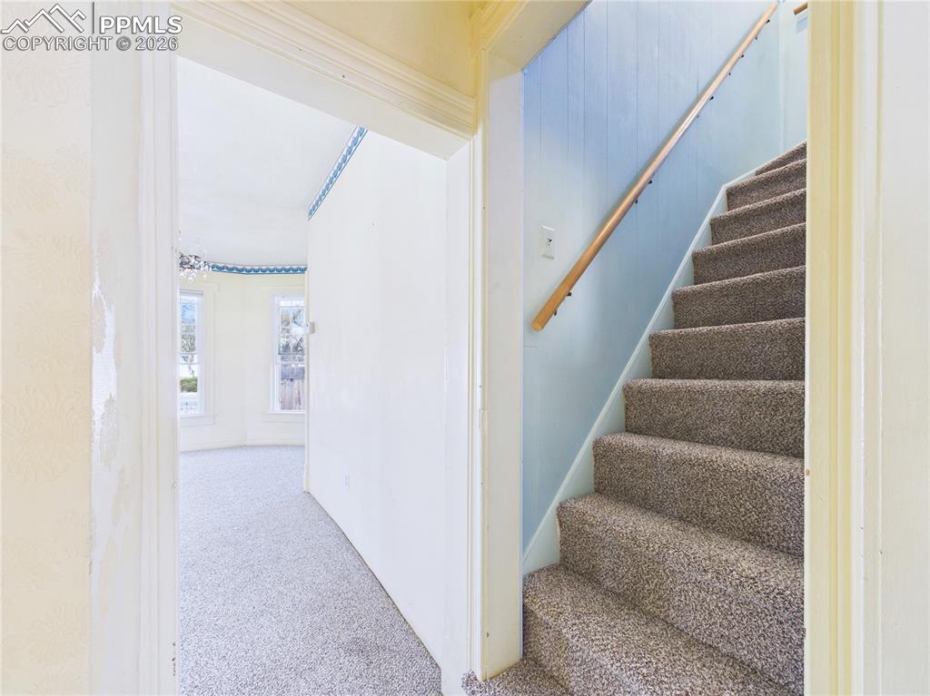 Image 16 of 42: Other