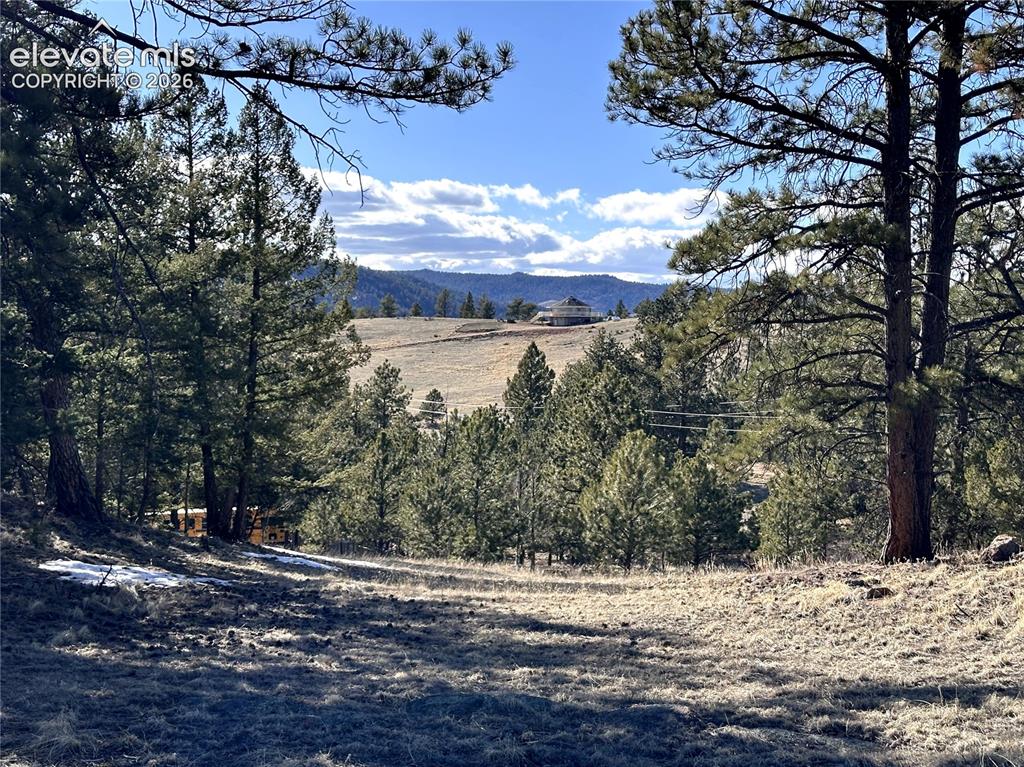Image 11 of 13: View