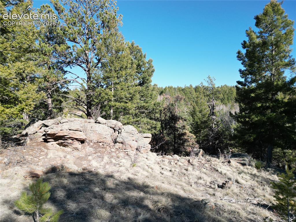 Image 6 of 13: Other