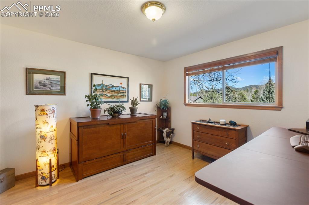 Image 33 of 50: Main level bedroom currently used as office