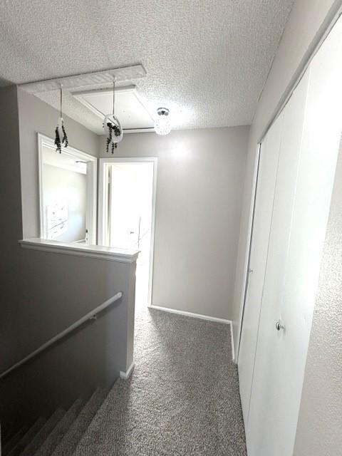 Image 16 of 22: Other