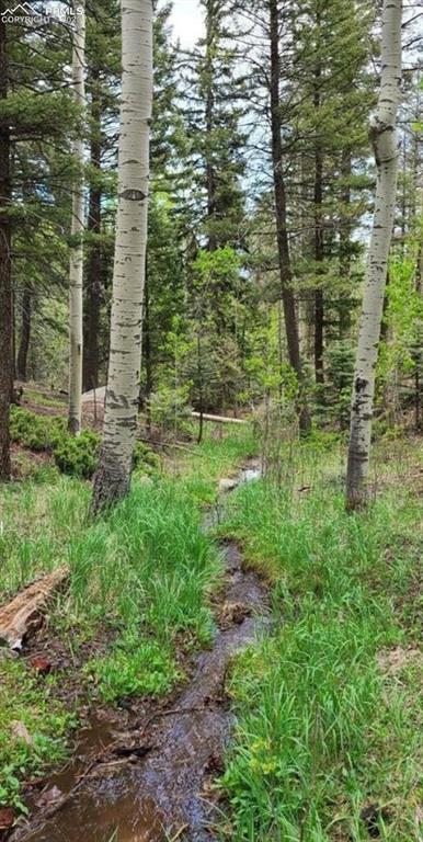 Image 4 of 11: View of nature