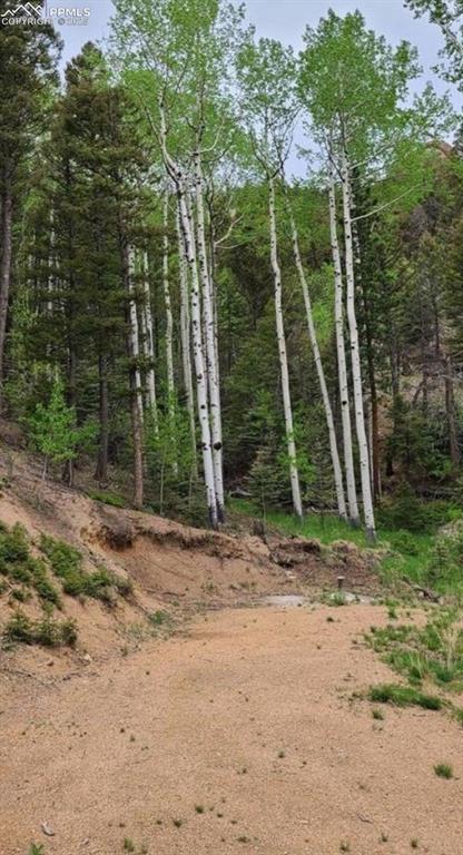 Image 8 of 11: View of local wilderness