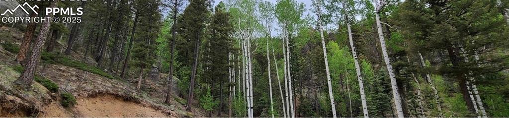 Image 9 of 11: View of landscape