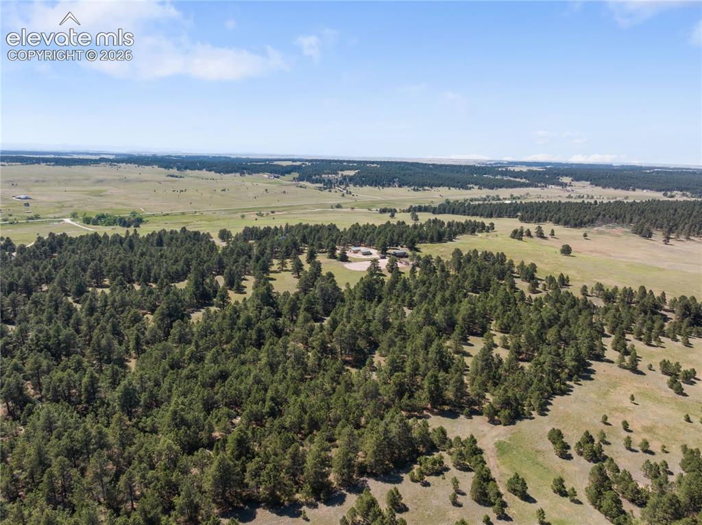 Image 48 of 48: Aerial View