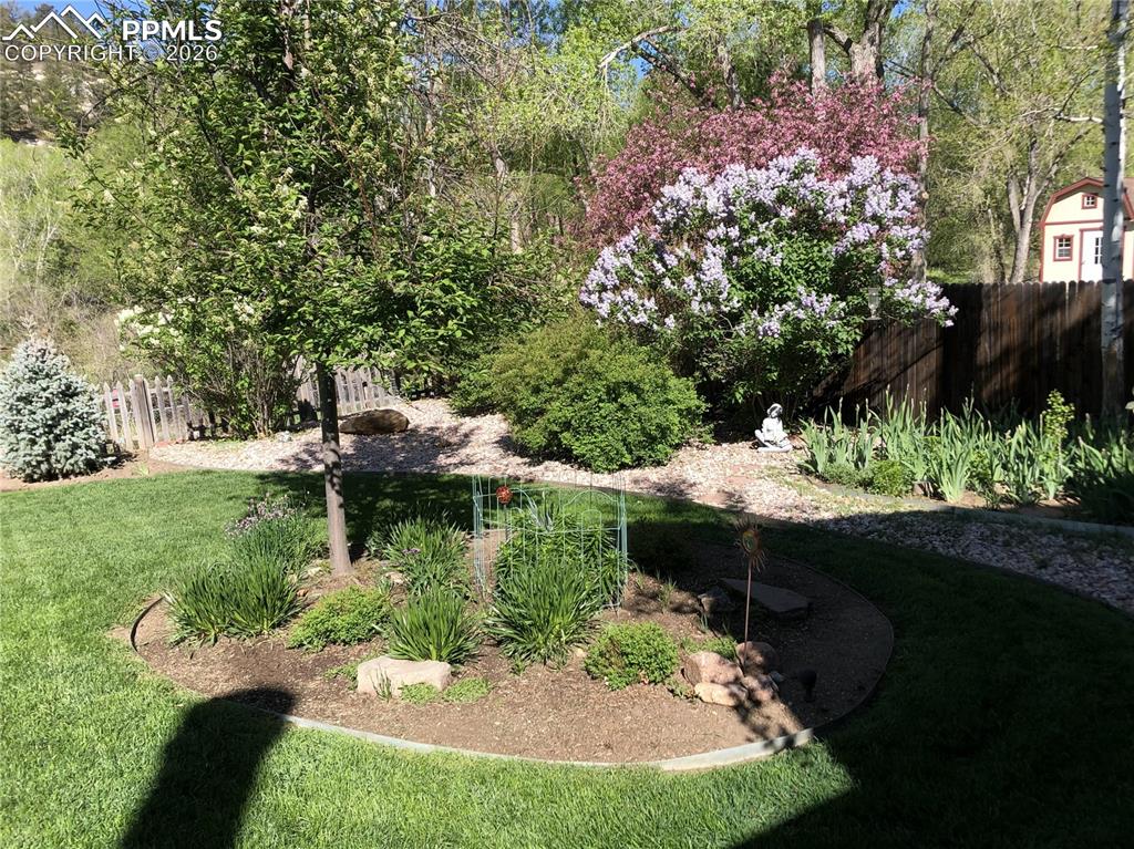 Image 39 of 50: Lots Of Perennials