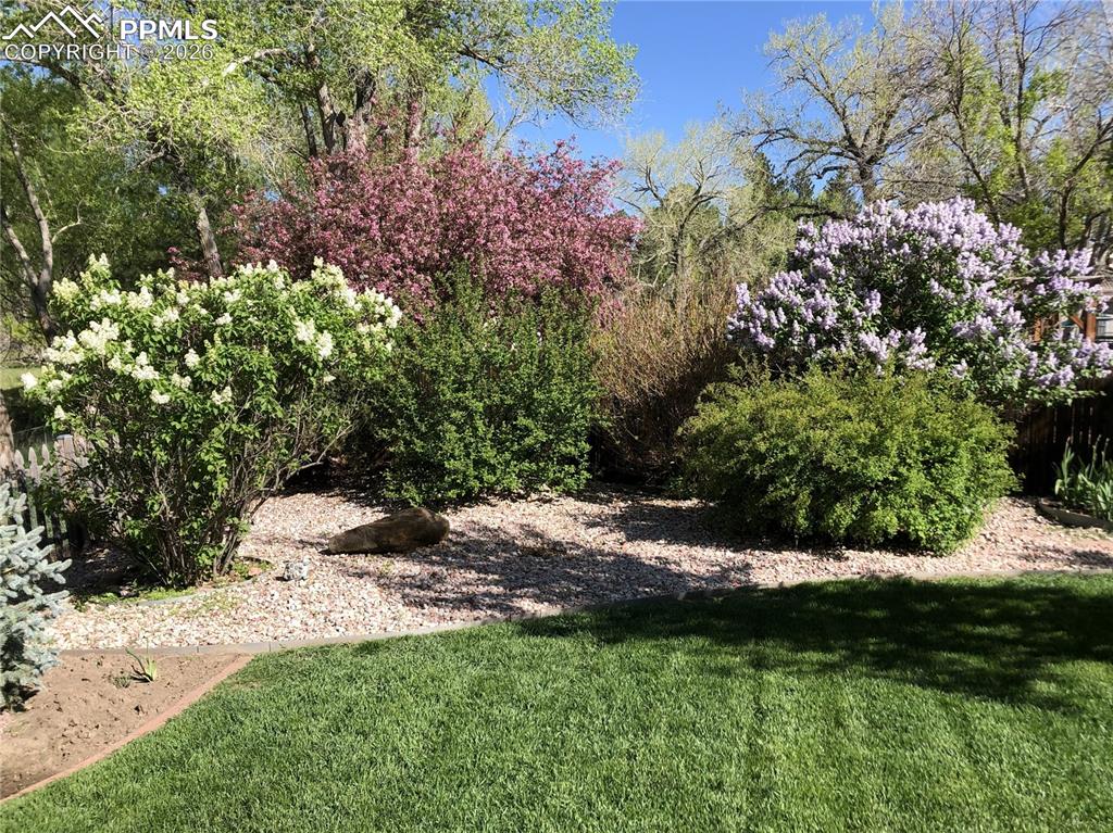 Image 40 of 50: Mature Trees And Bushes