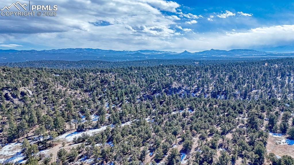 Image 10 of 15: Aerial view featuring a mountain view and a forest view