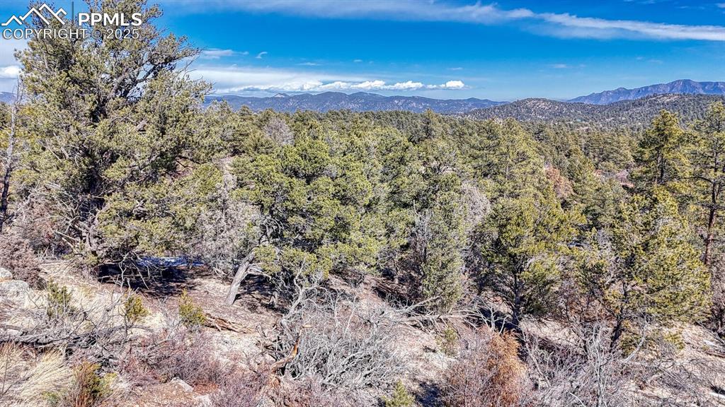 Image 11 of 15: View of mountain feature with a forest view