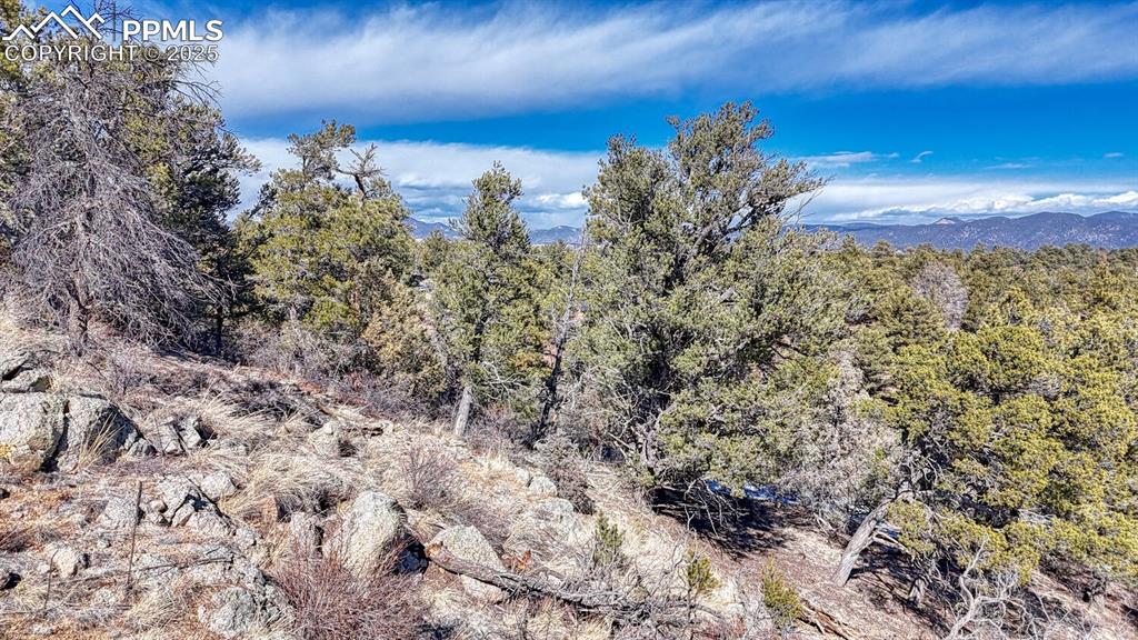 Image 12 of 15: View of mountain feature with a wooded view