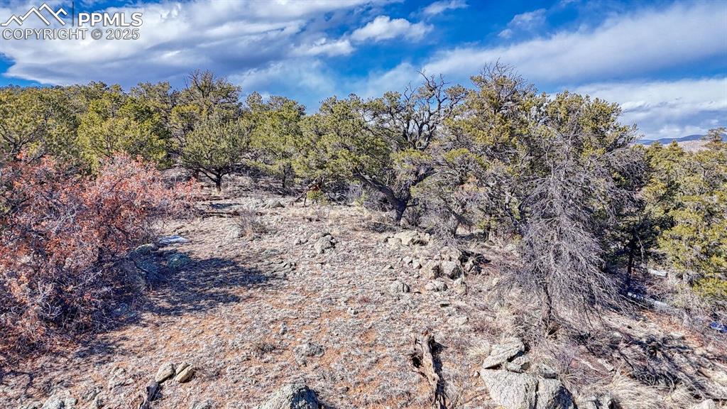Image 13 of 15: View of landscape