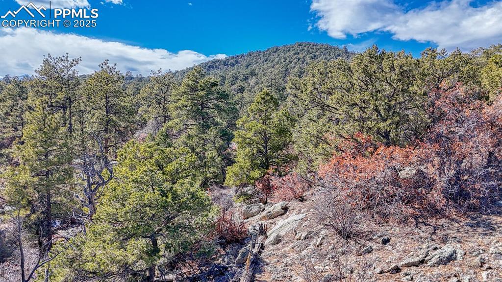 Image 14 of 15: Mountain view featuring a wooded view