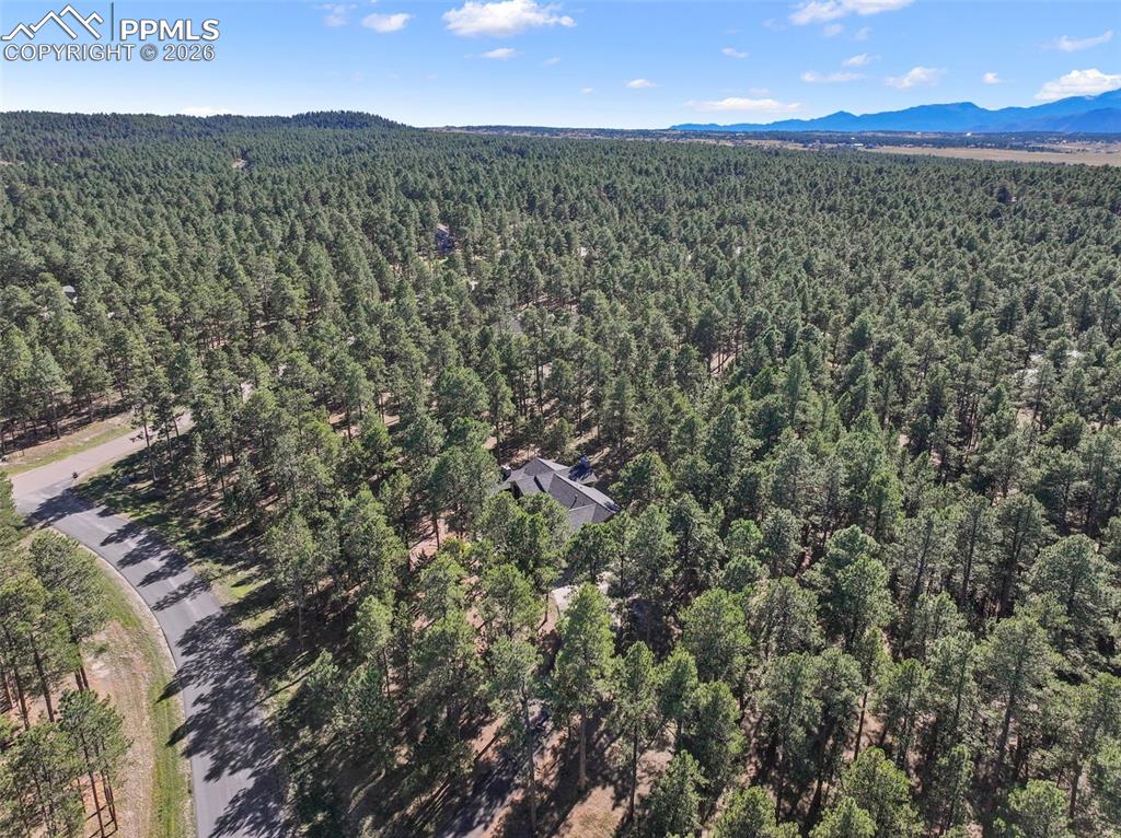 Image 44 of 45: Aerial View