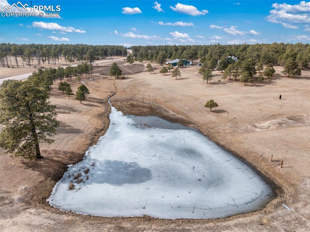 Image 42 of 50: Pond