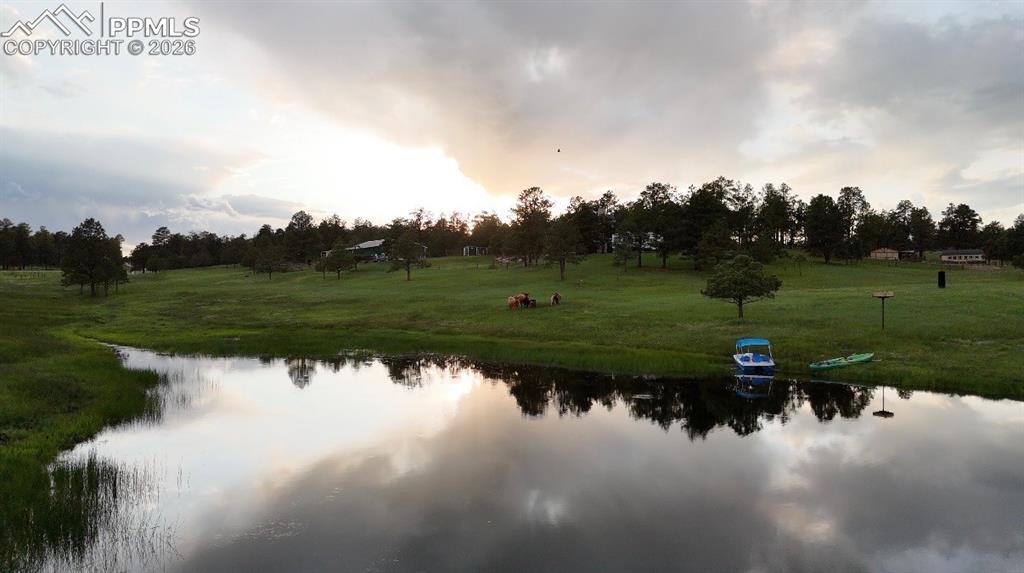 Image 43 of 50: No Description Available