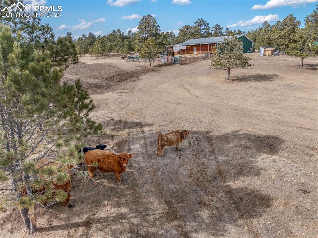 Image 5 of 50: Pasture