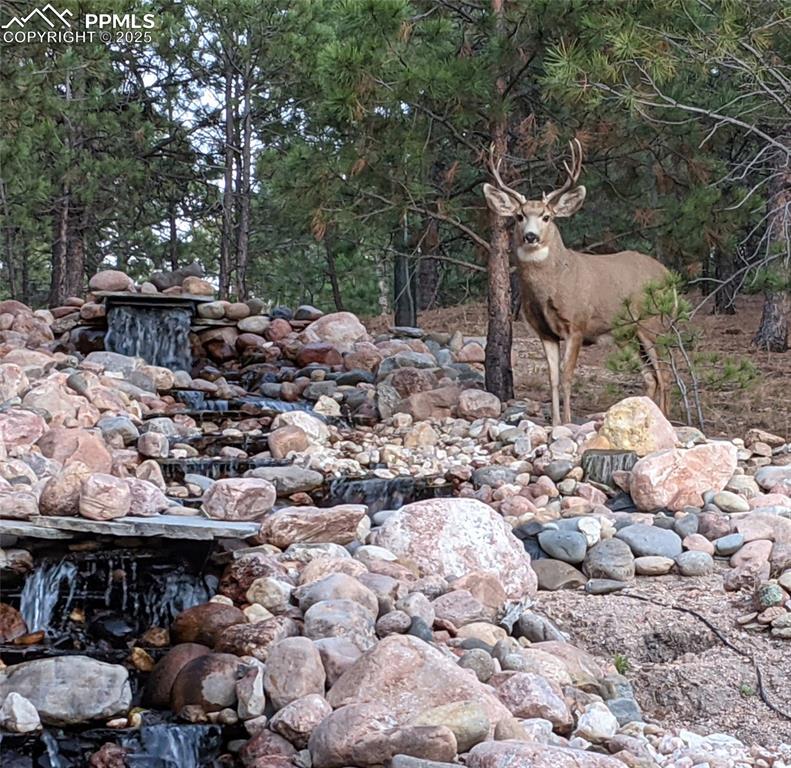 Image 18 of 50: Water Feature