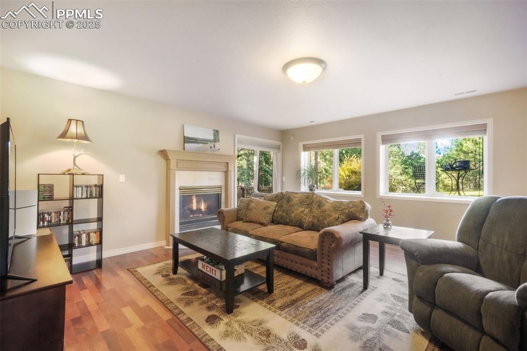 Image 33 of 50: Family Room