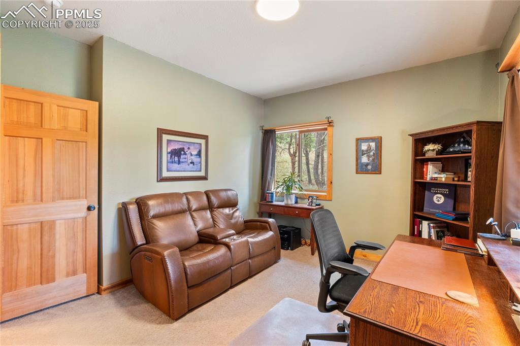 Image 31 of 46: Carpet warms the floors in Bedroom #3 on lower level 