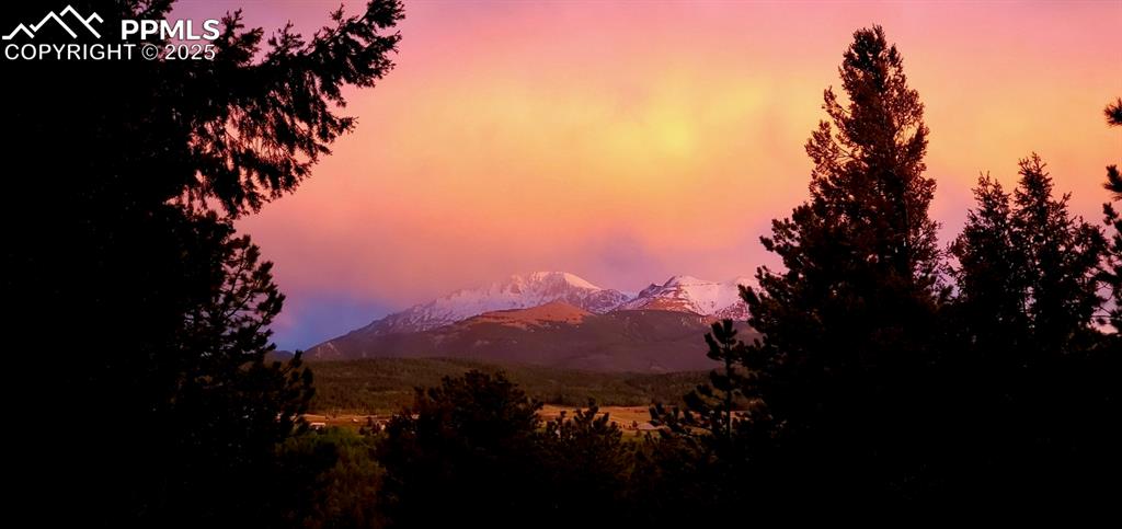 Image 43 of 46: Wake up to this every morning! 