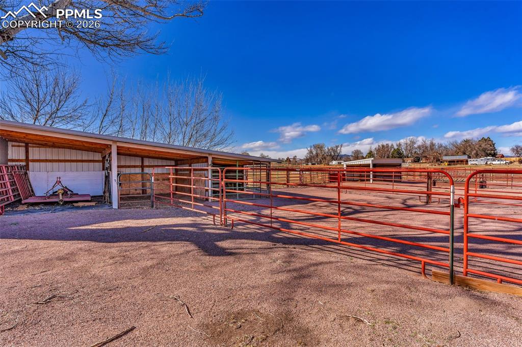 Image 46 of 50: Stable