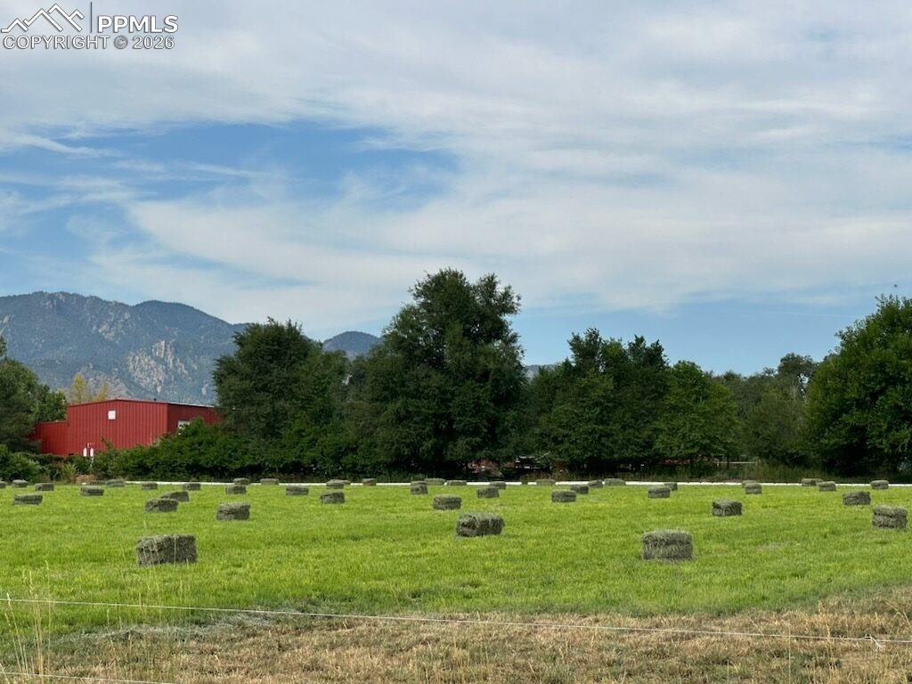 Image 50 of 50: View