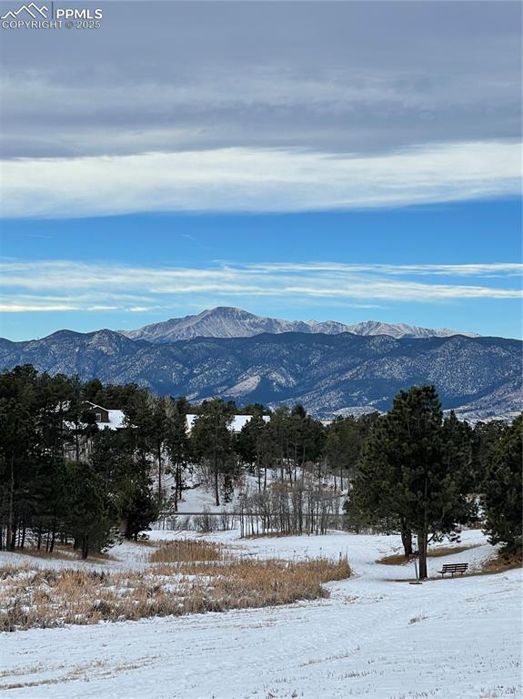 Image 38 of 39: View of Pikes Peak from nearby open space & hiking trail