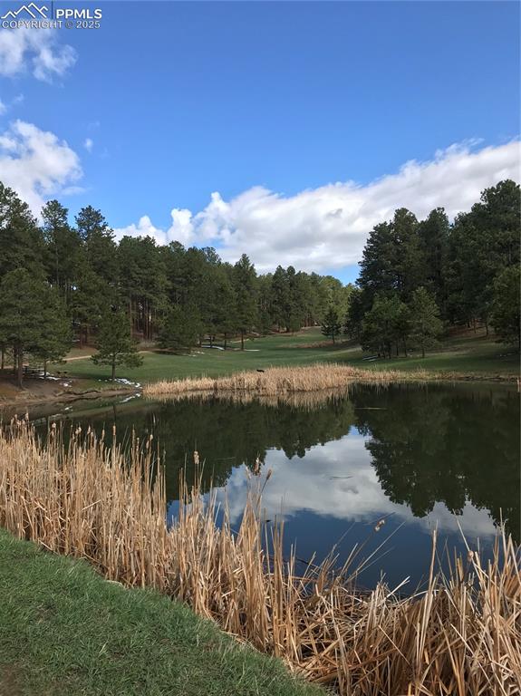 Image 39 of 39: Nearby ponds & open space with hiking trail