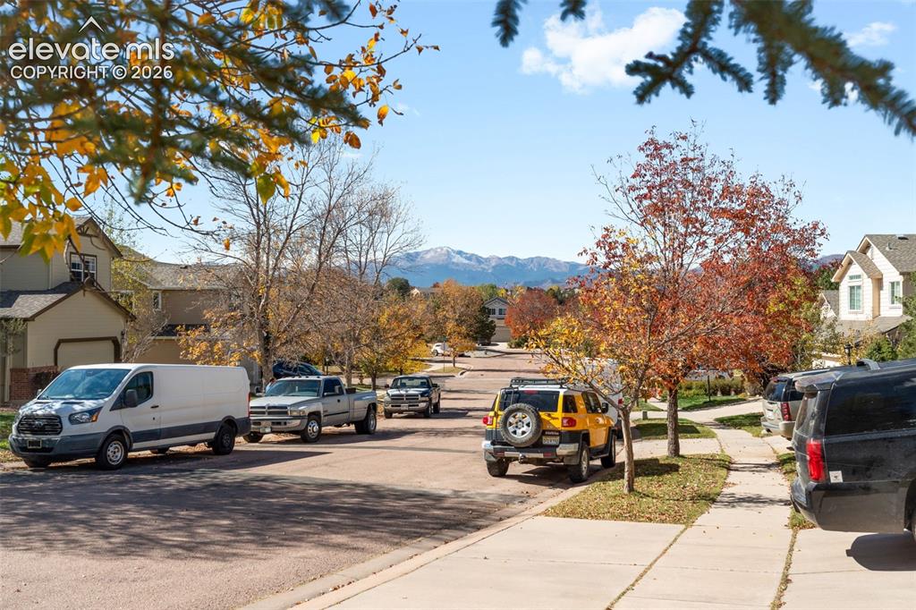 Image 3 of 36: Residential street scene featuring mature deciduous trees and a prominent m