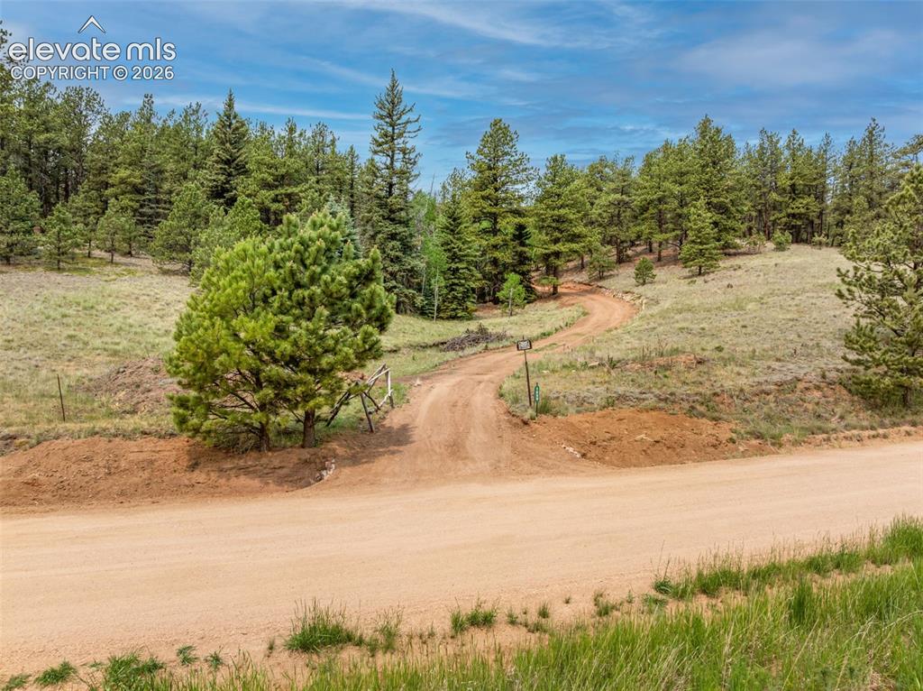 Image 2 of 21: Other