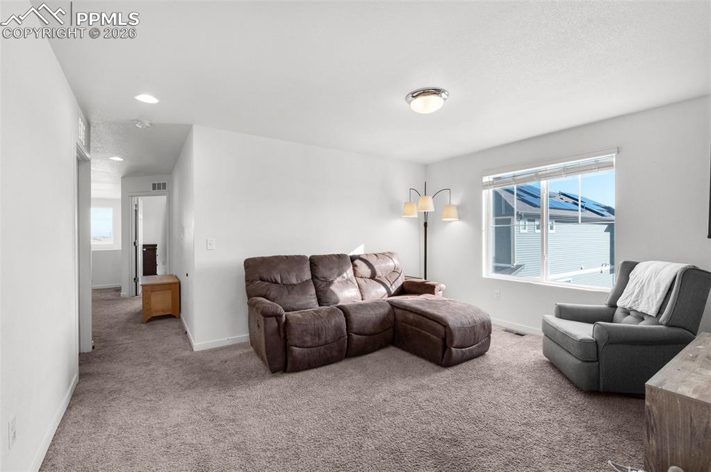 Image 16 of 25: Living Room